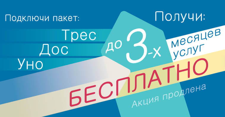 Месяцы в подарок!